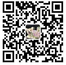 2024��ü�h̩¡����y�������Ƹ����