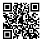 ������ʽ