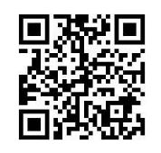 2024�������ںʹ��(zh��n)�y����Ƹ����