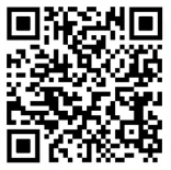 2024�������r���y�п͑�������Ƹ����